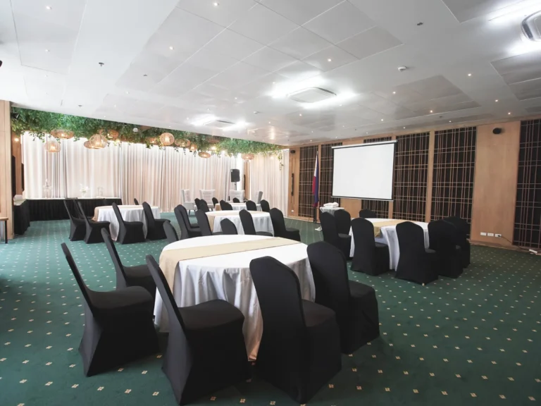 SONATA FUNCTION HALL 4533334